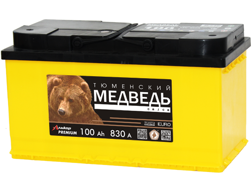 Аккумулятор Тюменский медведь 6СТ 100 VLA